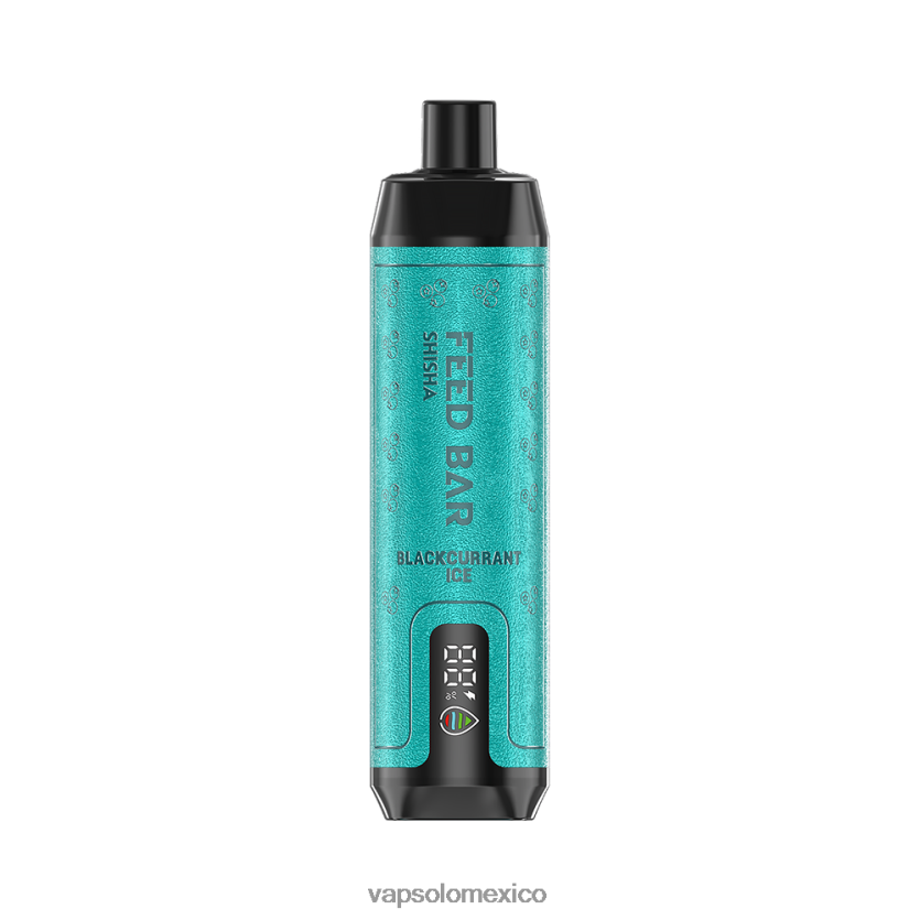 Vapsolo México - VapSolo SHISHA vaporizador desechable hielo de grosella negra 4H2N8J2