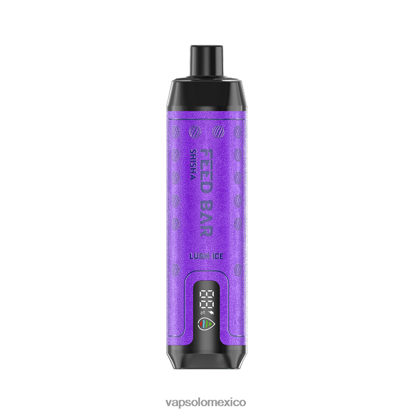 Vapsolo México - VapSolo SHISHA vaporizador desechable hielo exuberante 4H2N8J8