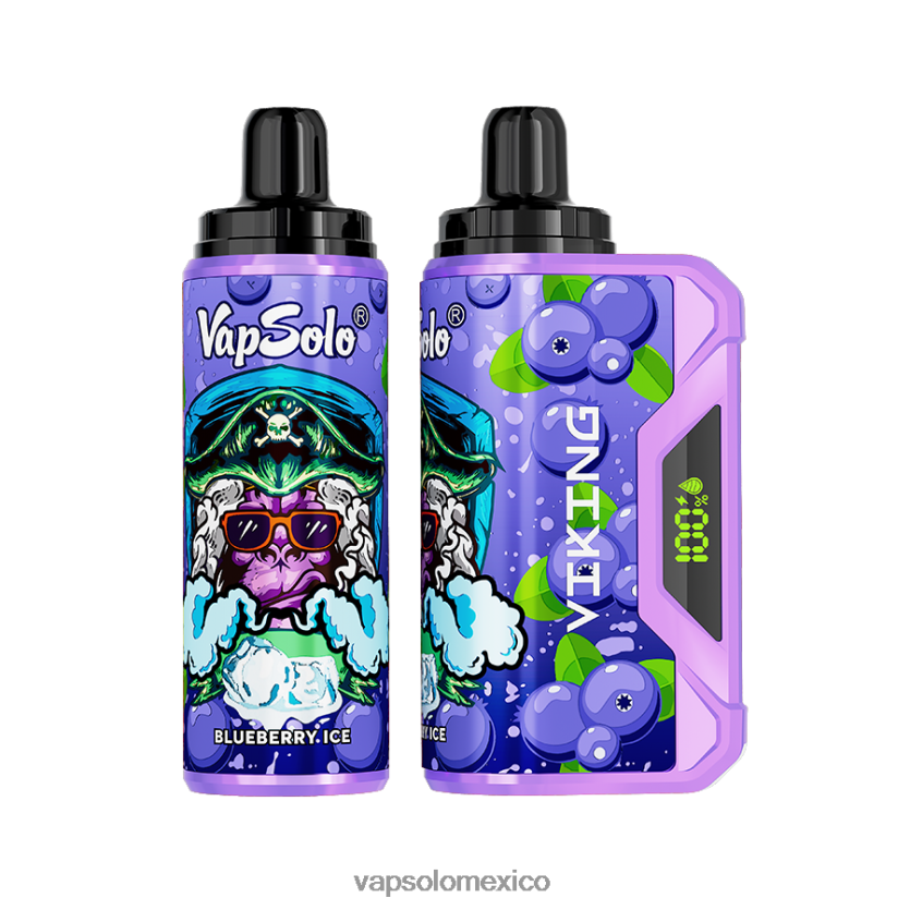 Vapsolo Sabores - VapSolo VIKING vaporizador desechable arándano 4H2N8J36